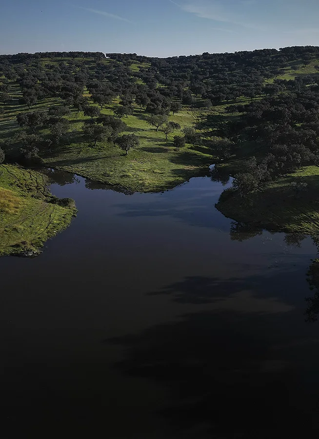 Lago