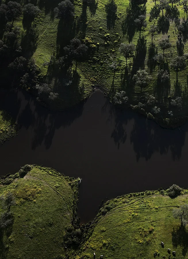 Lago
